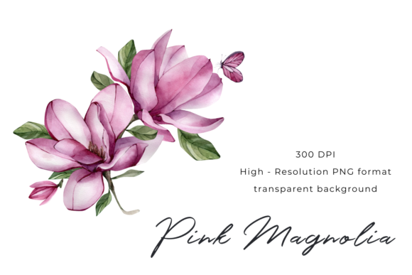 Pink Magnolia Hand Drawn Composition